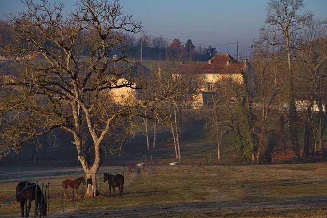 Les 2 Abbesses en Vert.