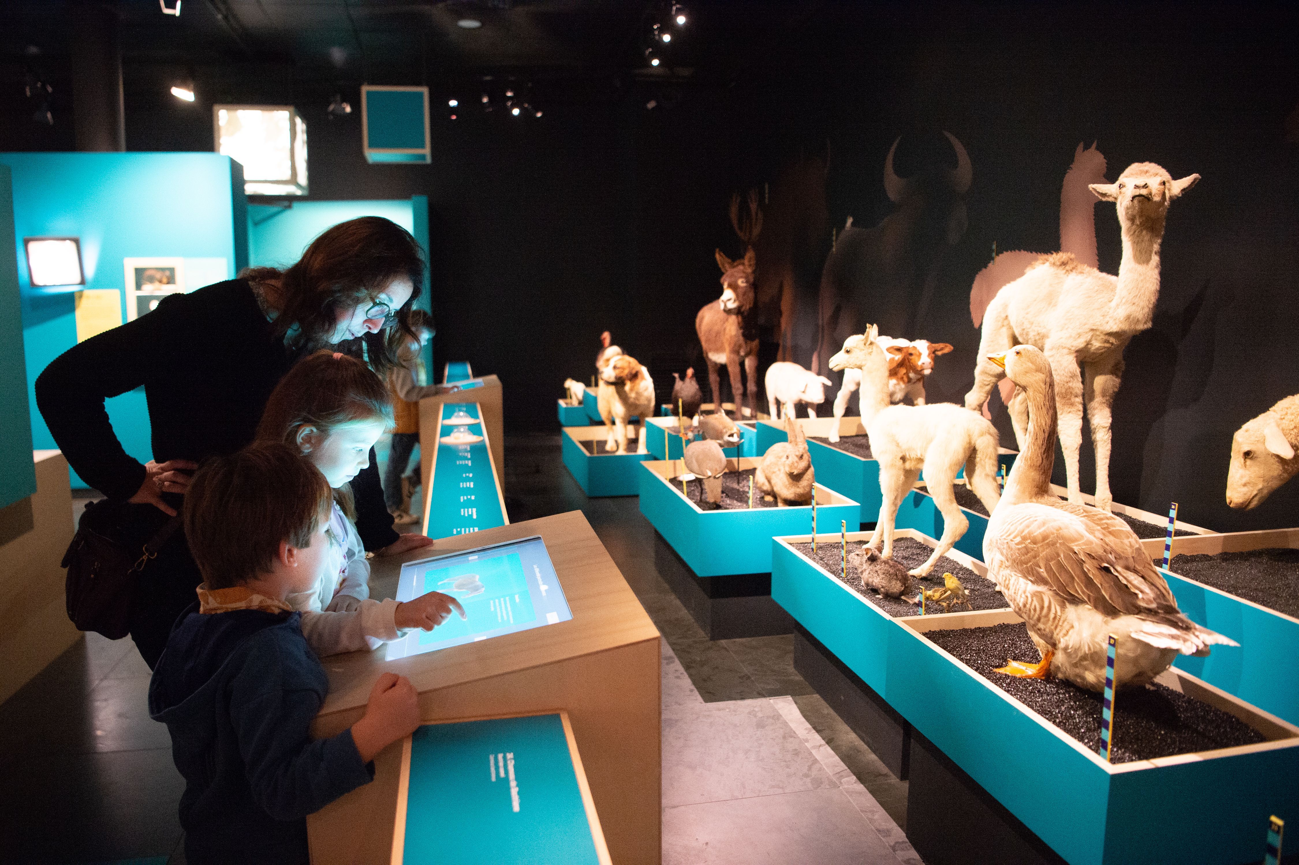 Emmanuel Grimault / Museum de Toulouse