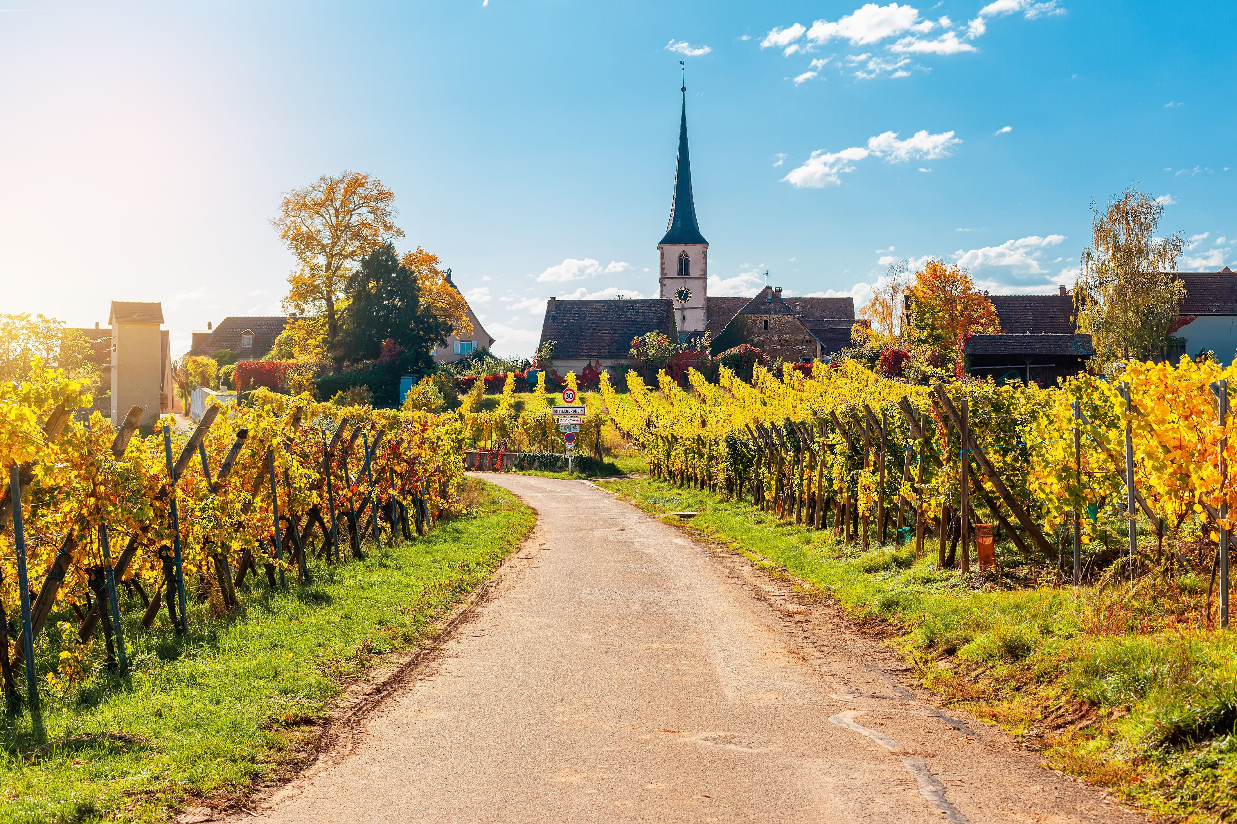 Mittelbergheim