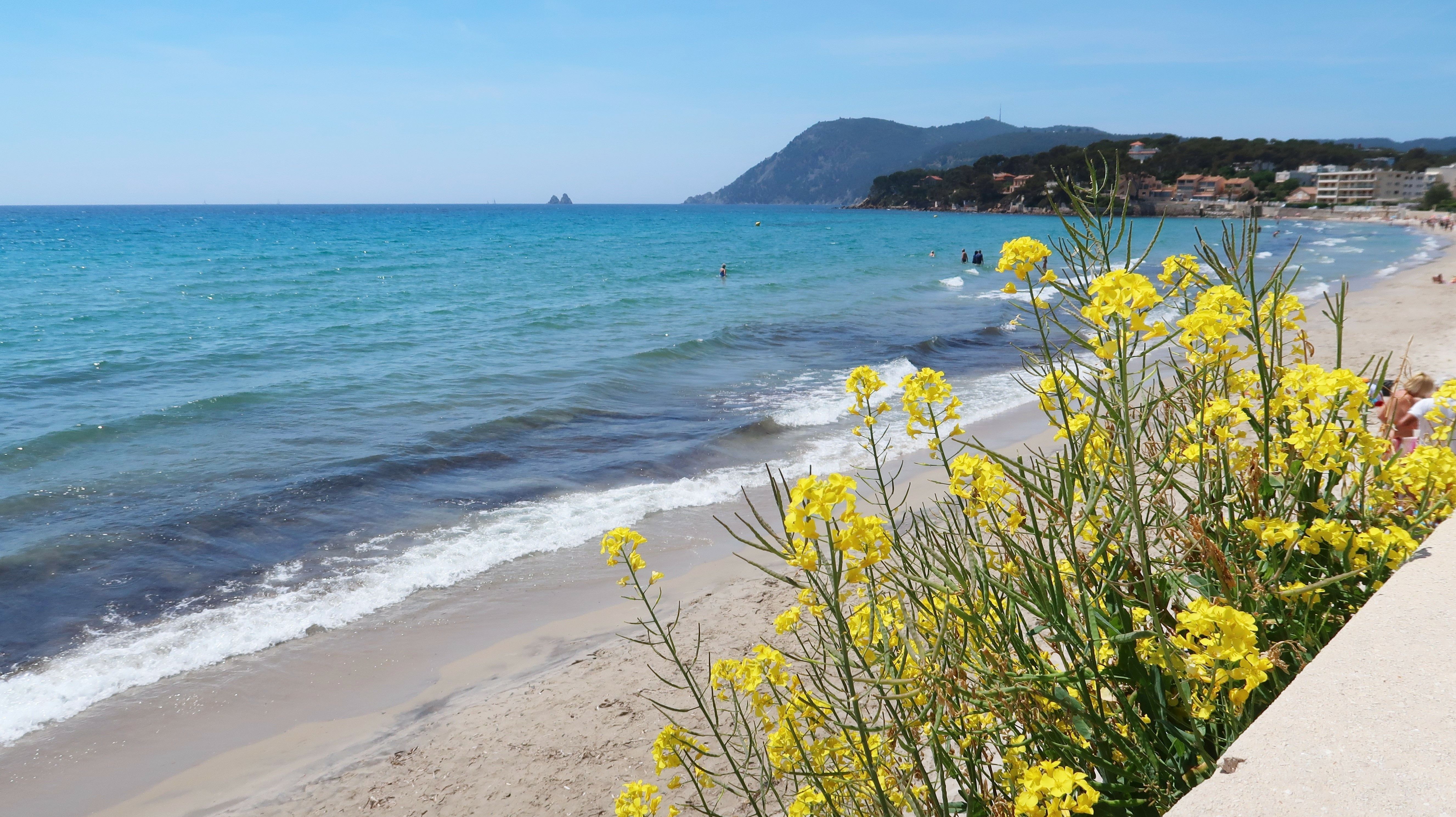 Seyne-sur-Mer, Var