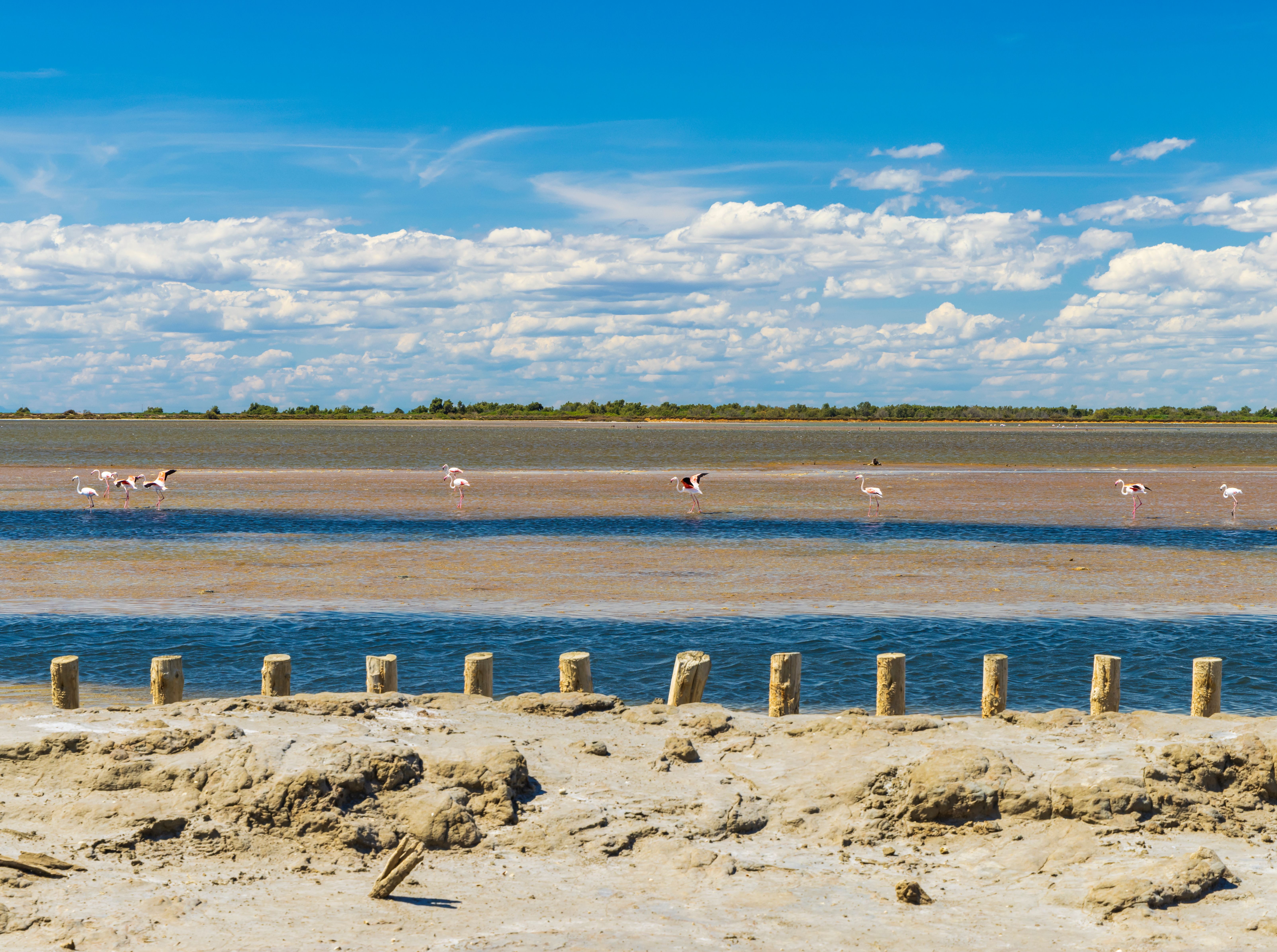 Salins de Giraud