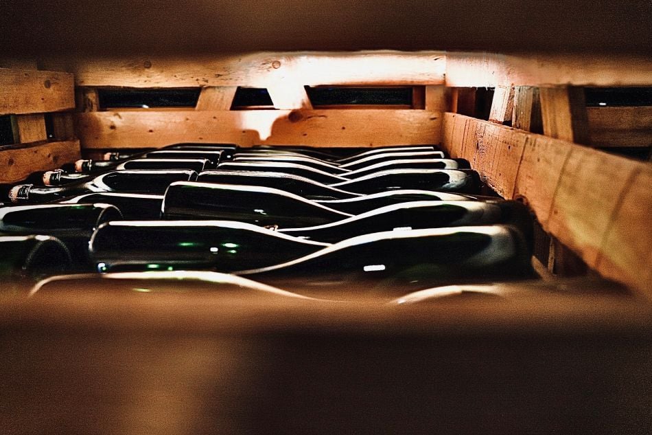 Cleebourg im Norden des Elsass, wo unberührte Natur und authentische Weine aufeinandertreffen.