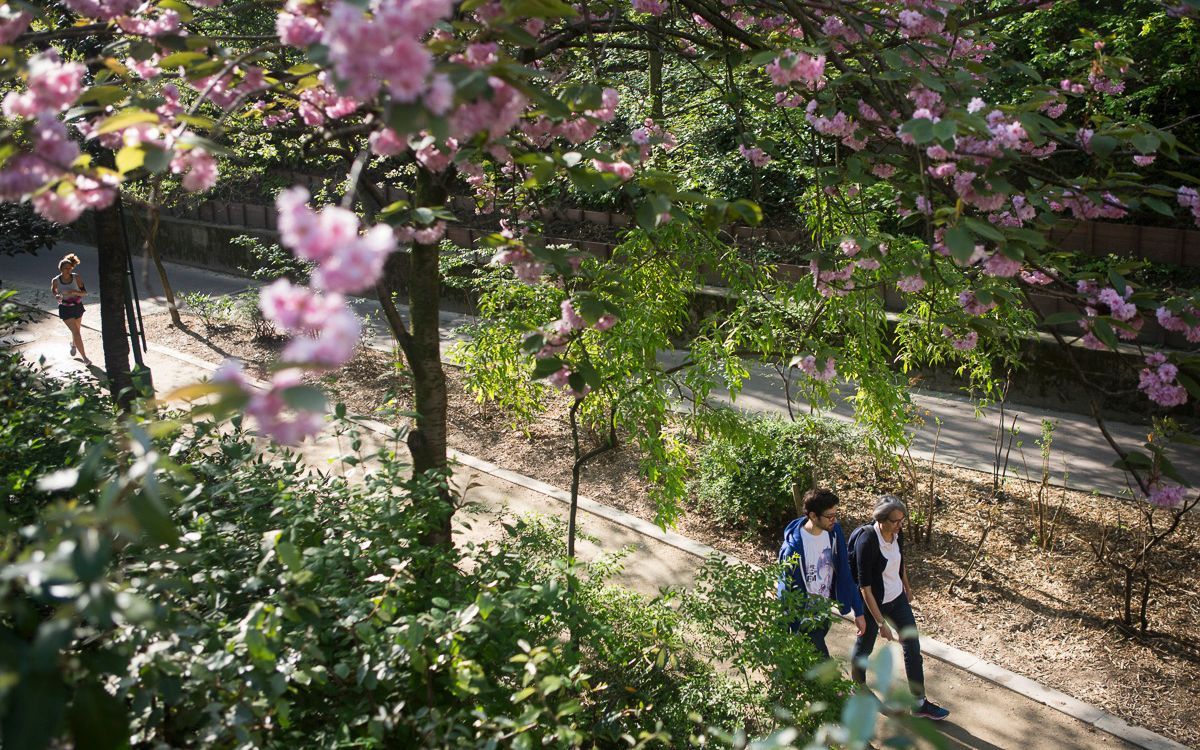 Jean-Baptiste Gurliat, Ville de Paris