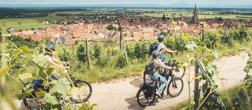 Por la Ruta de los Vinos de Alsacia en Dambach-la-Ville.