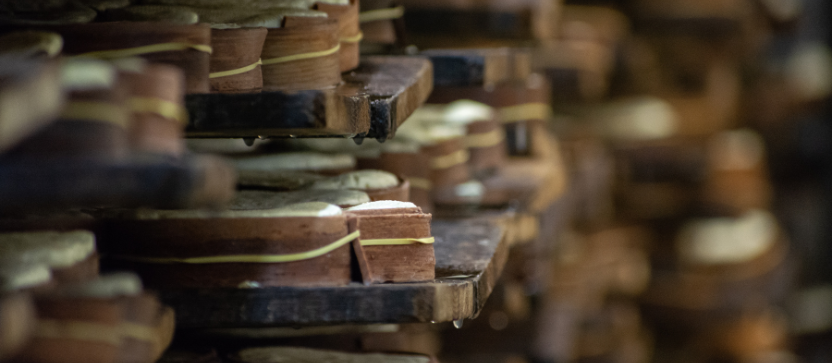 Cave à fromages Mont d'Or, Montagnes du Jura. 