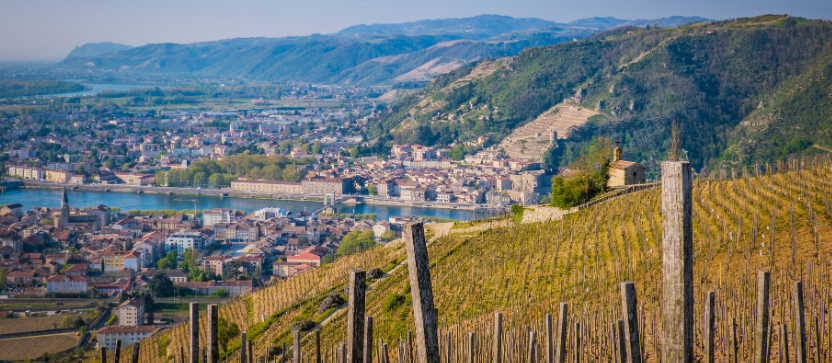 Vignobles de Tain l'Hermitage, au sud de Lyon. 