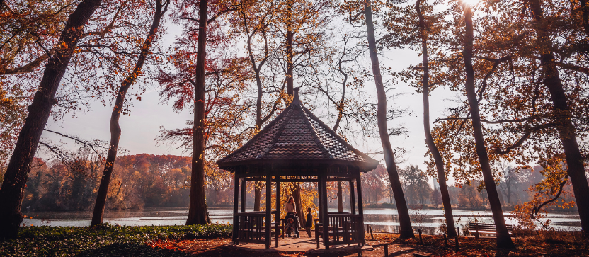 Parc de la Tête d'Or, à Lyon.