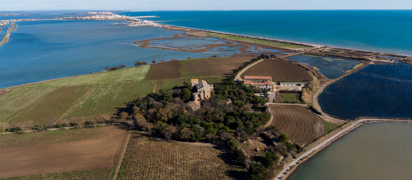 Presqu'île de Maguelone, près de Sète. 