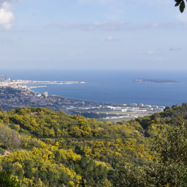 Blick auf die Bucht von Cannes von den Höhen von Mandelieu-la-Napoule an der Côte d'Azur.