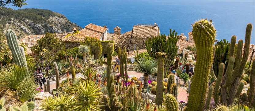 Jardin exotique d'Eze, près de Nice. 