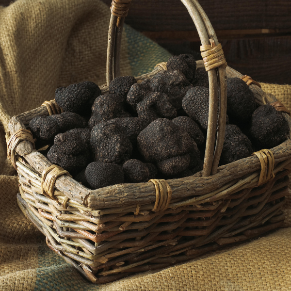 Trufas del Perigord.