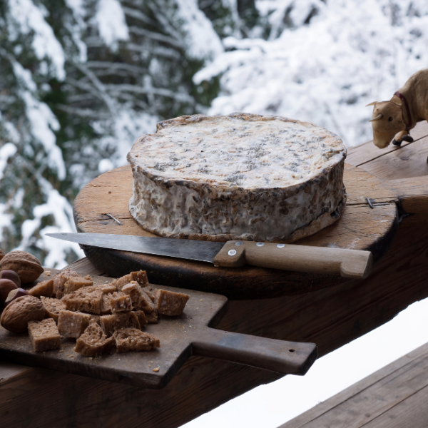 Tomme de Savoie, queso de los Alpes franceses.