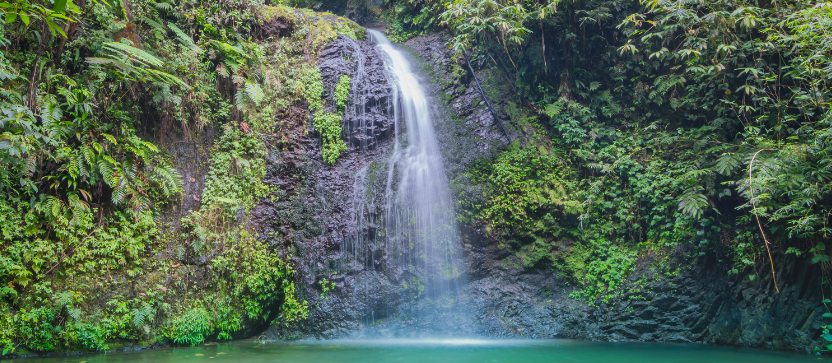 Cascade du saut du gendarme sur la route de la trace, en Martinique.