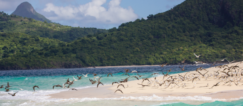 îlot de sable blanc au large de la pointe Saziley, à Mayotte. 