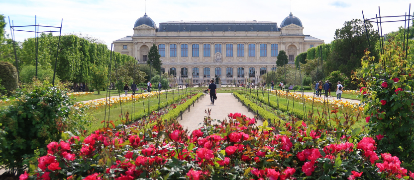 Florence Piot / Adobe Stock