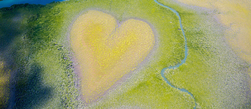 Coeur de Voh, en Nouvelle-Calédonie. 