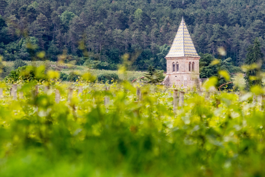 Fixin, sur la route des Grands Crus de Bourgogne.