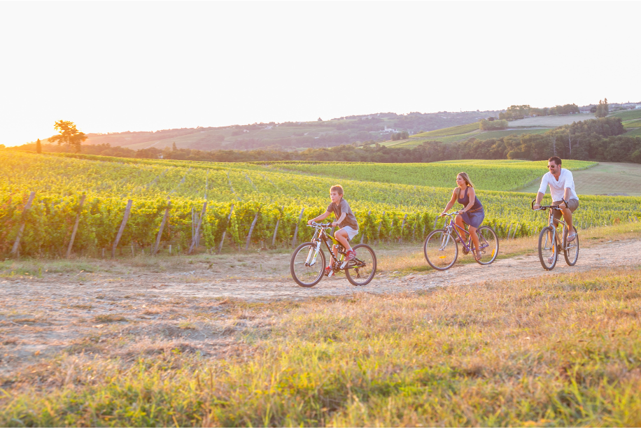Balade à vélo dans le vignoble bordelais.