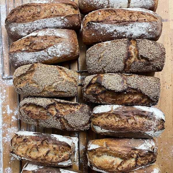 Ferme de Sabadel, Auvergne. 