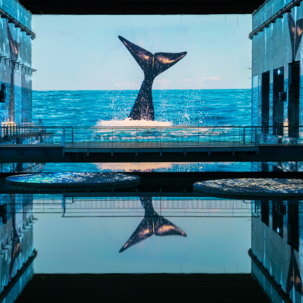 Océans, en el Bassins des Lumières de Burdeos.