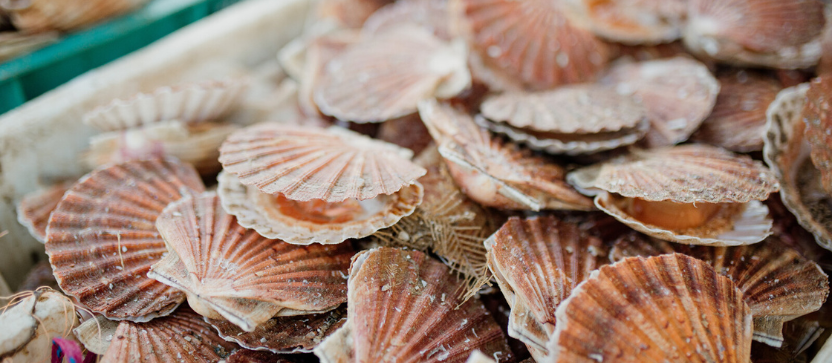 Marché du Neubourg, en Normandie.