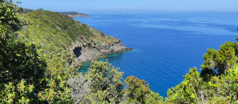 Parque Nacional de Port-Cros, en Provenza.
