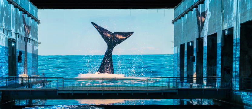 Bassins des Lumières, à Bordeaux.