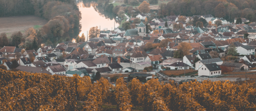 Vignobles de La Champagne en automne. 