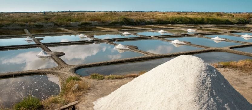 Marais salants de Guérande, sur la côte Atlantique. 