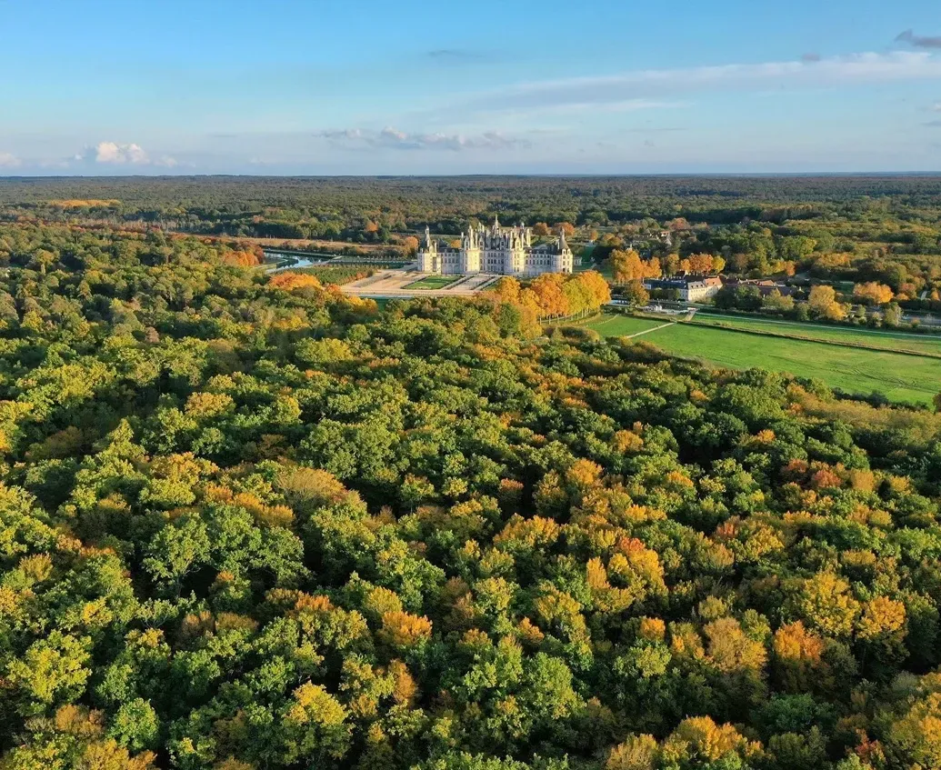 Dominio nacional de Chambord