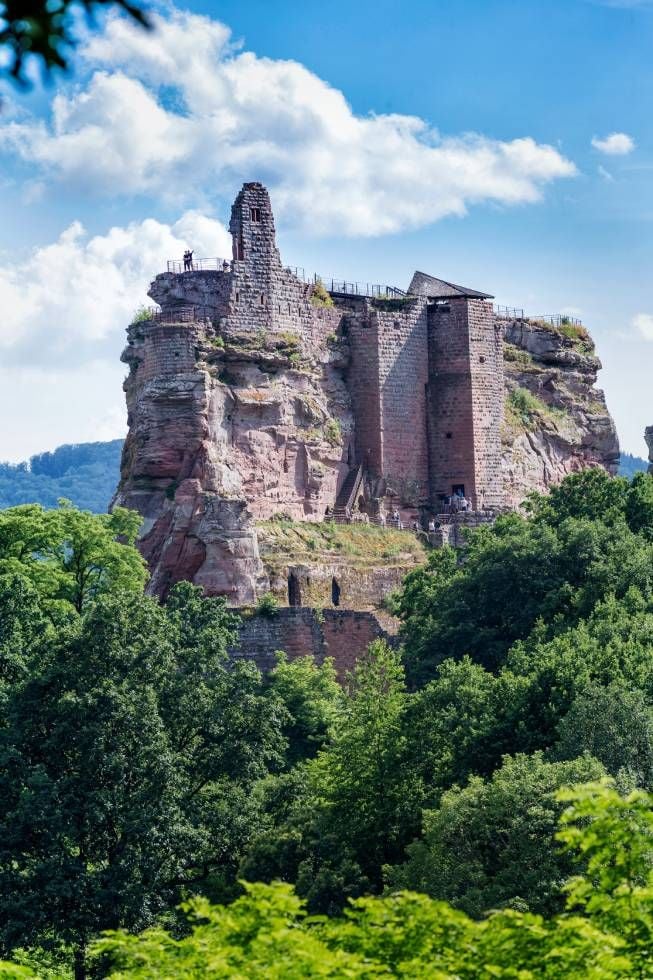 Die Burg Fleckenstein bei Lembach im Norden des Elsass