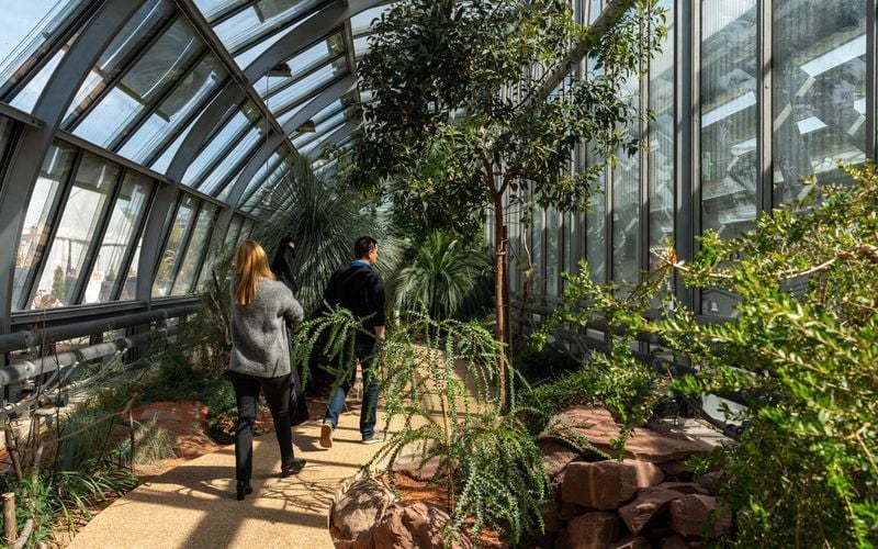 Sonia Yassa, Ville de Paris