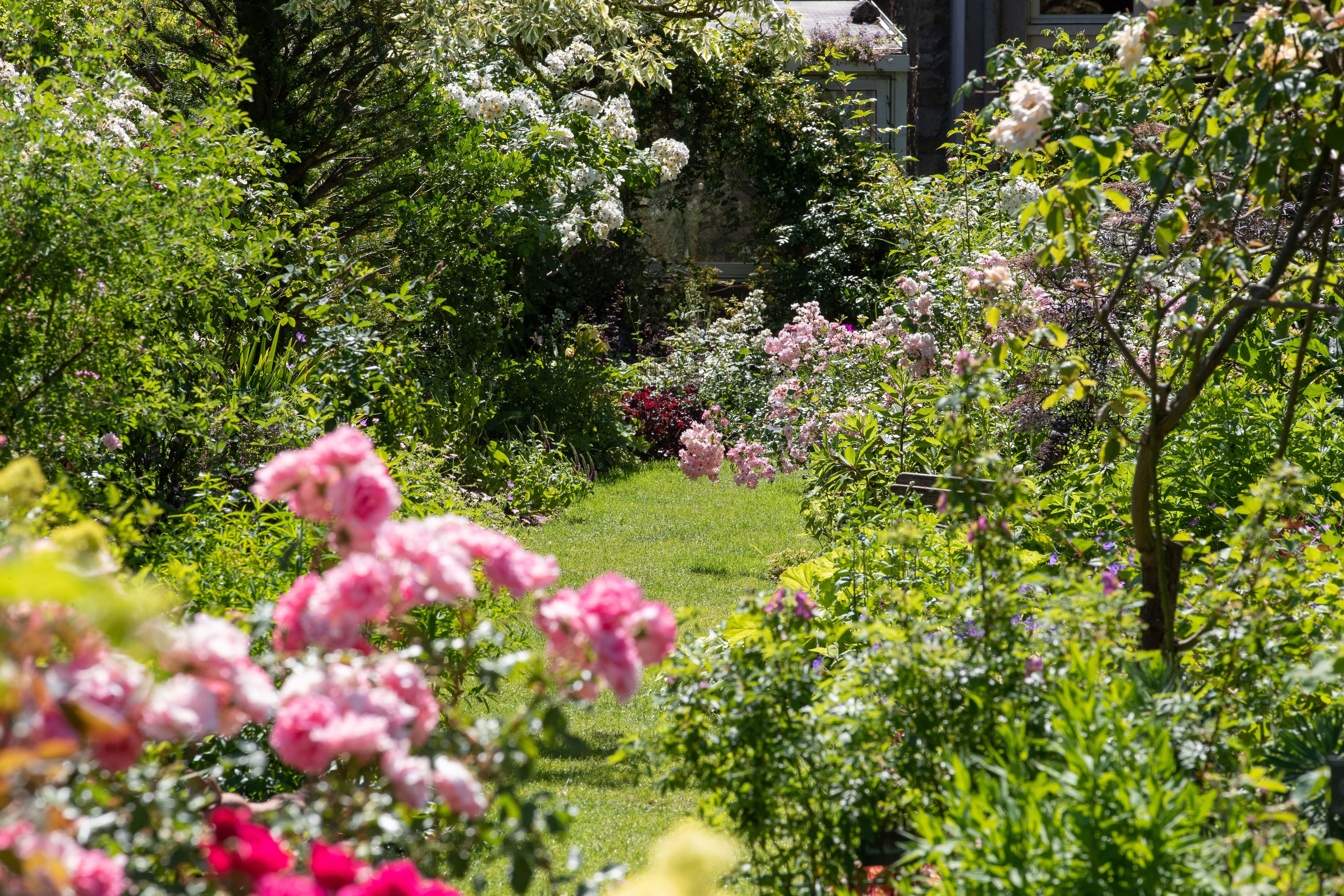 Jardin personnel d'André Eve à Pithiviers, dans le Val de Loire. 