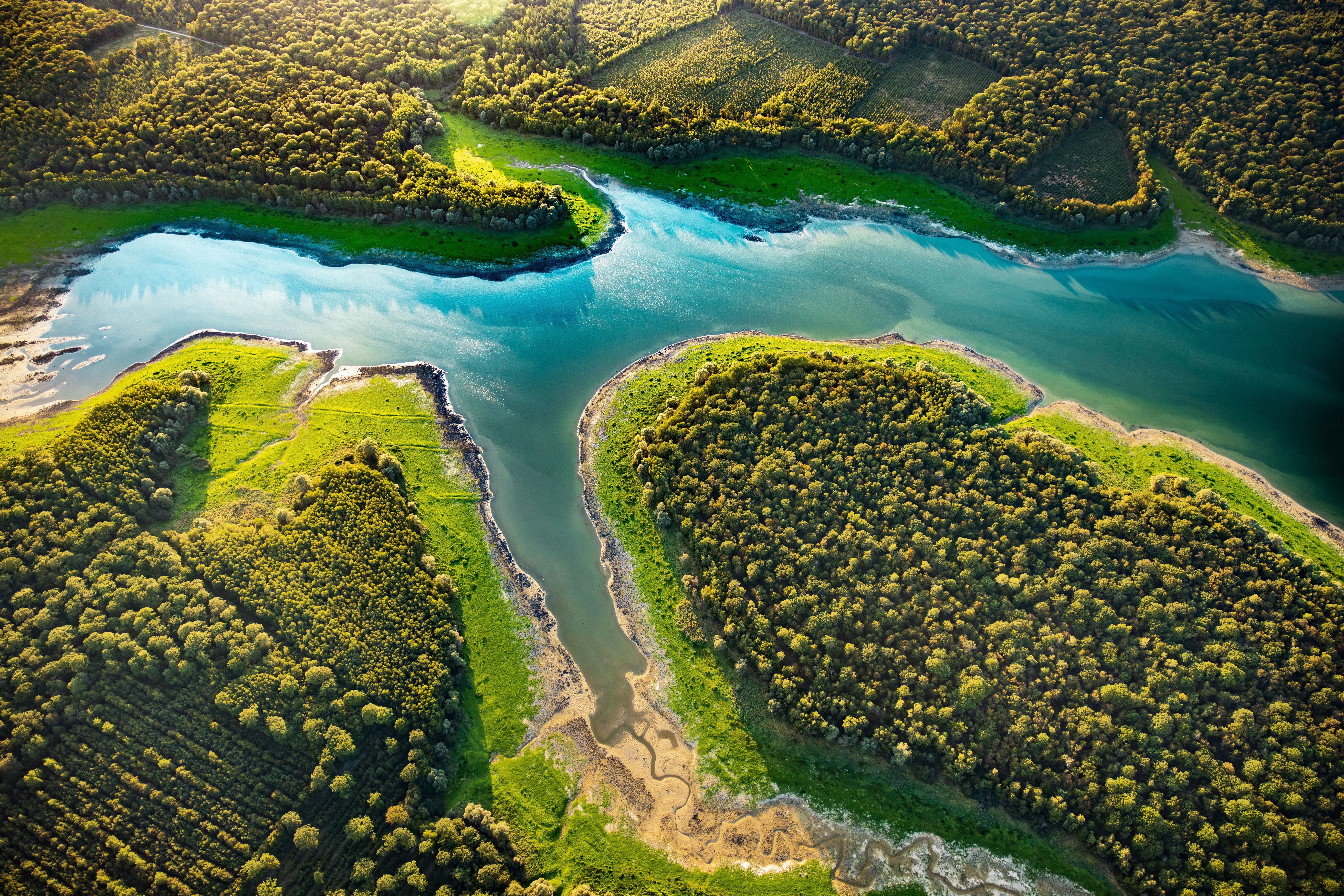 Een van de grote meren in het Forêt d'Orient in de Aube.