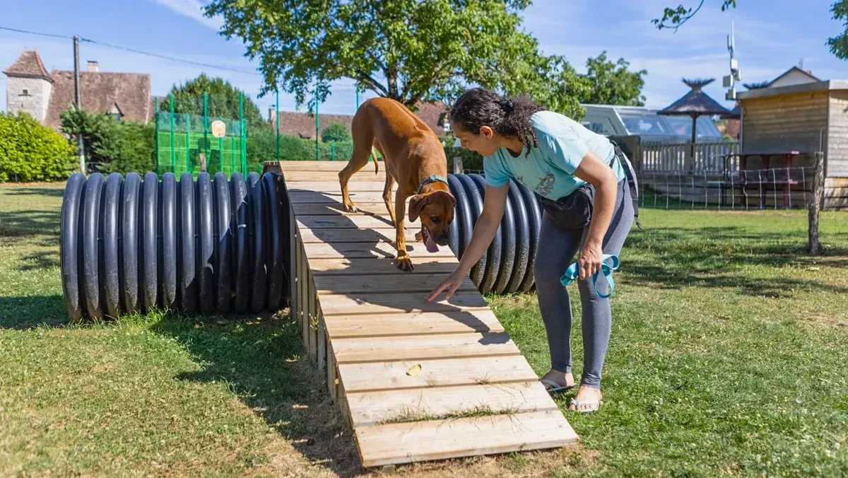 Circuito de agilidad para perros en el camping Le Ventoulou