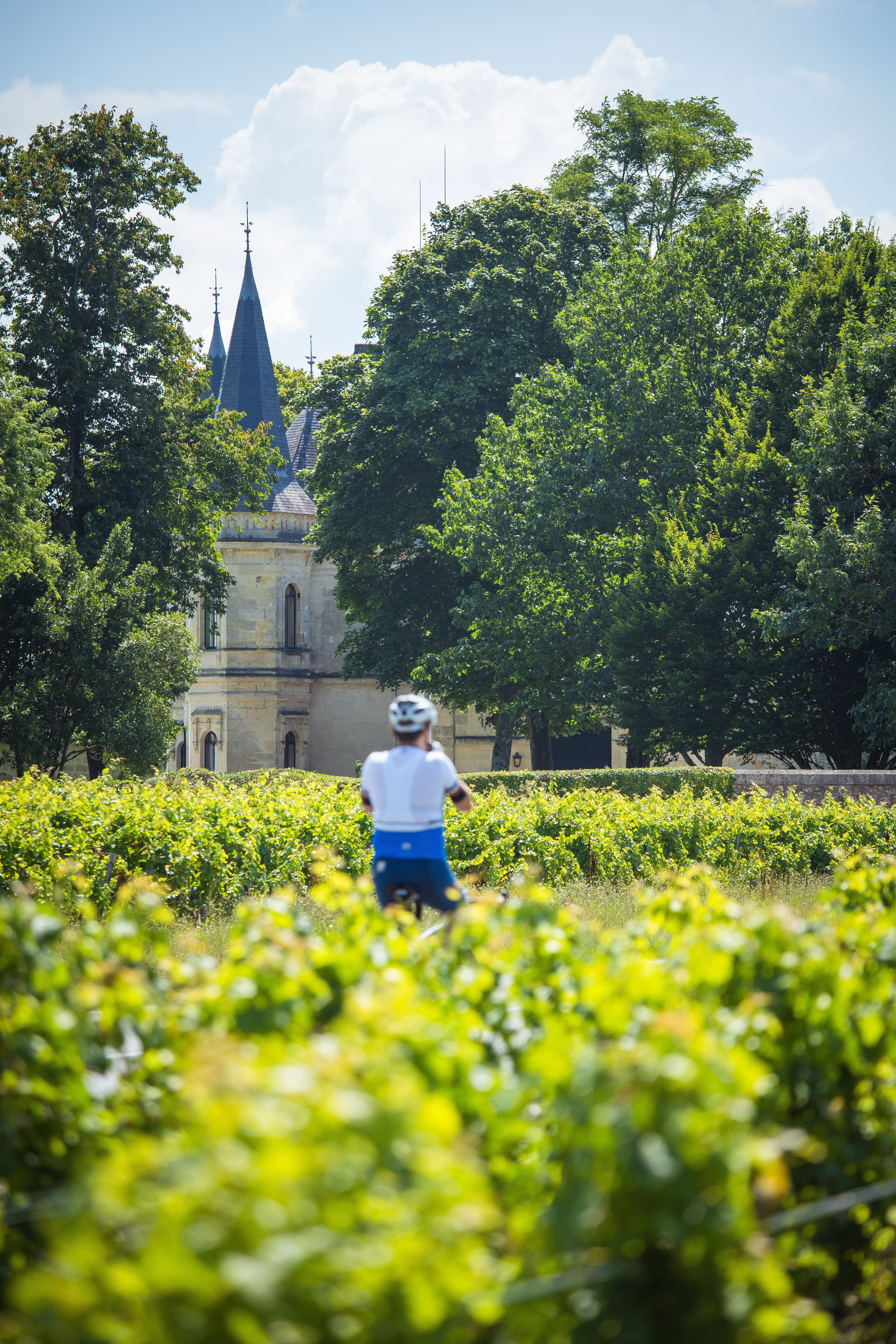 Bordeaux Vignobles