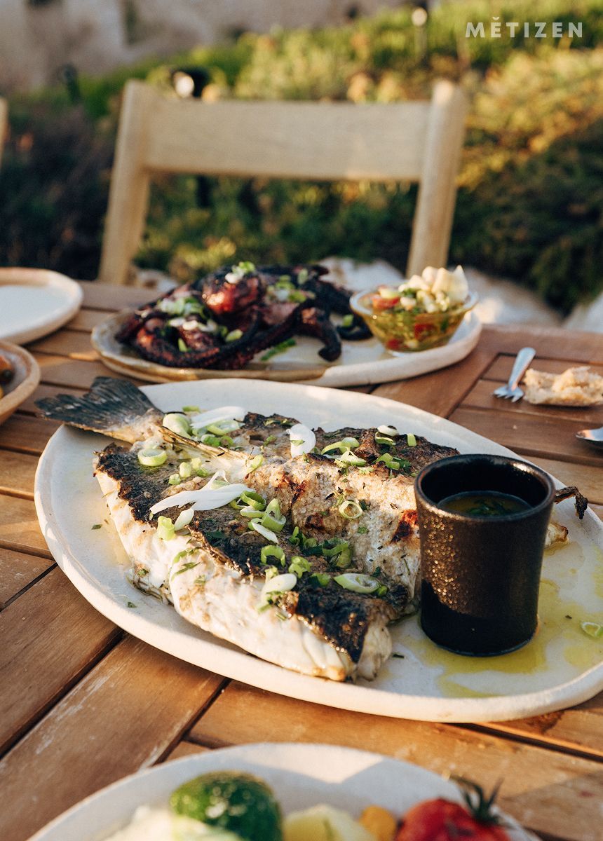 Metizen - 일 드가비