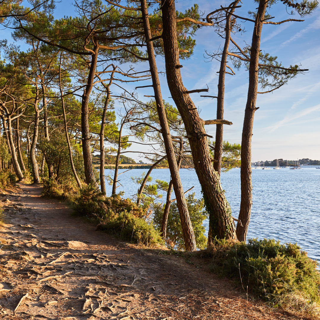 Tag vandreskoene på og følg kyststierne, Baden, Golfe du Morbihan
