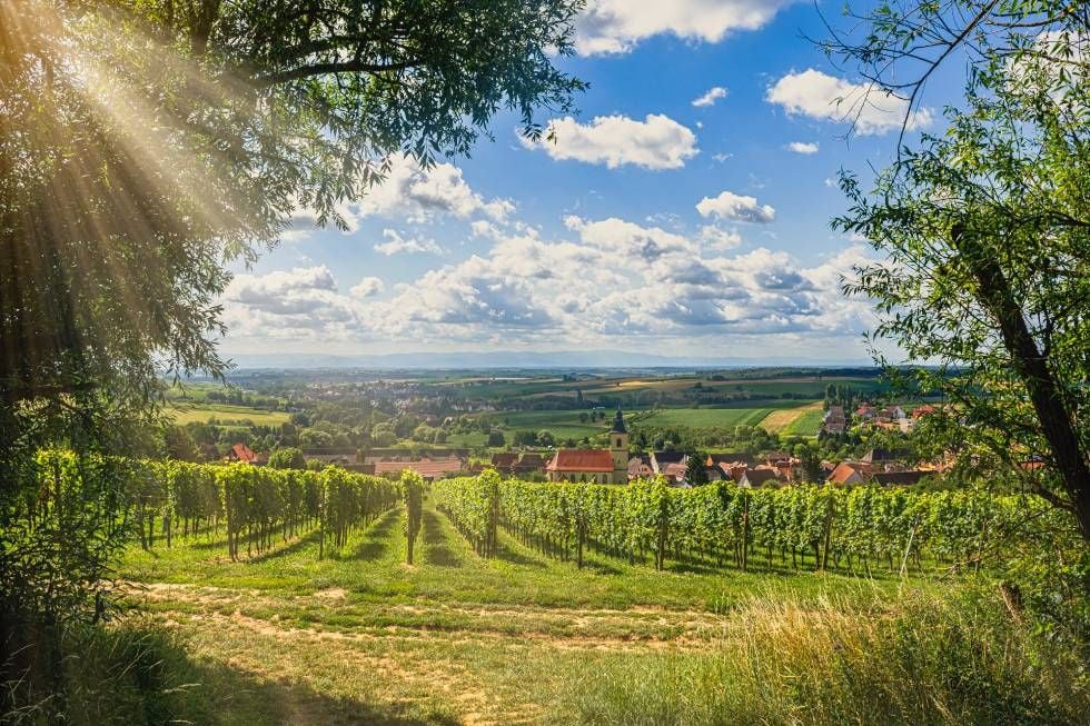 Rott im Norden des Elsass