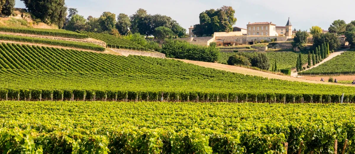Viñedos en la Jurisdicción de Saint-Emilion
