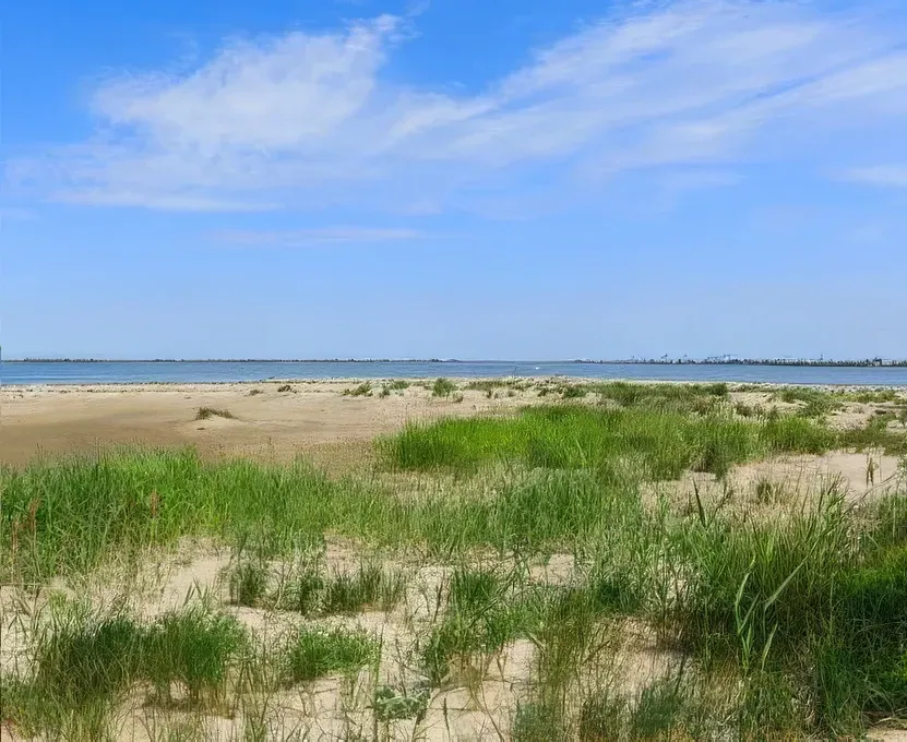 Paysage sauvage au Salin de Giraud, en Camargue