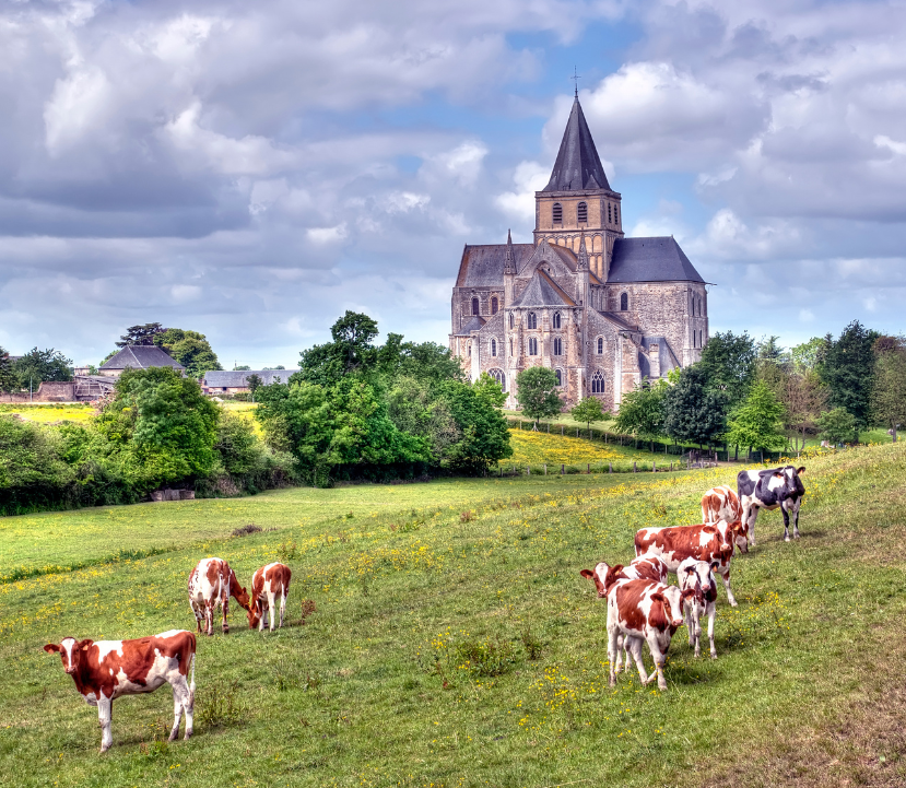 Olivier Rault / Adobe Stock