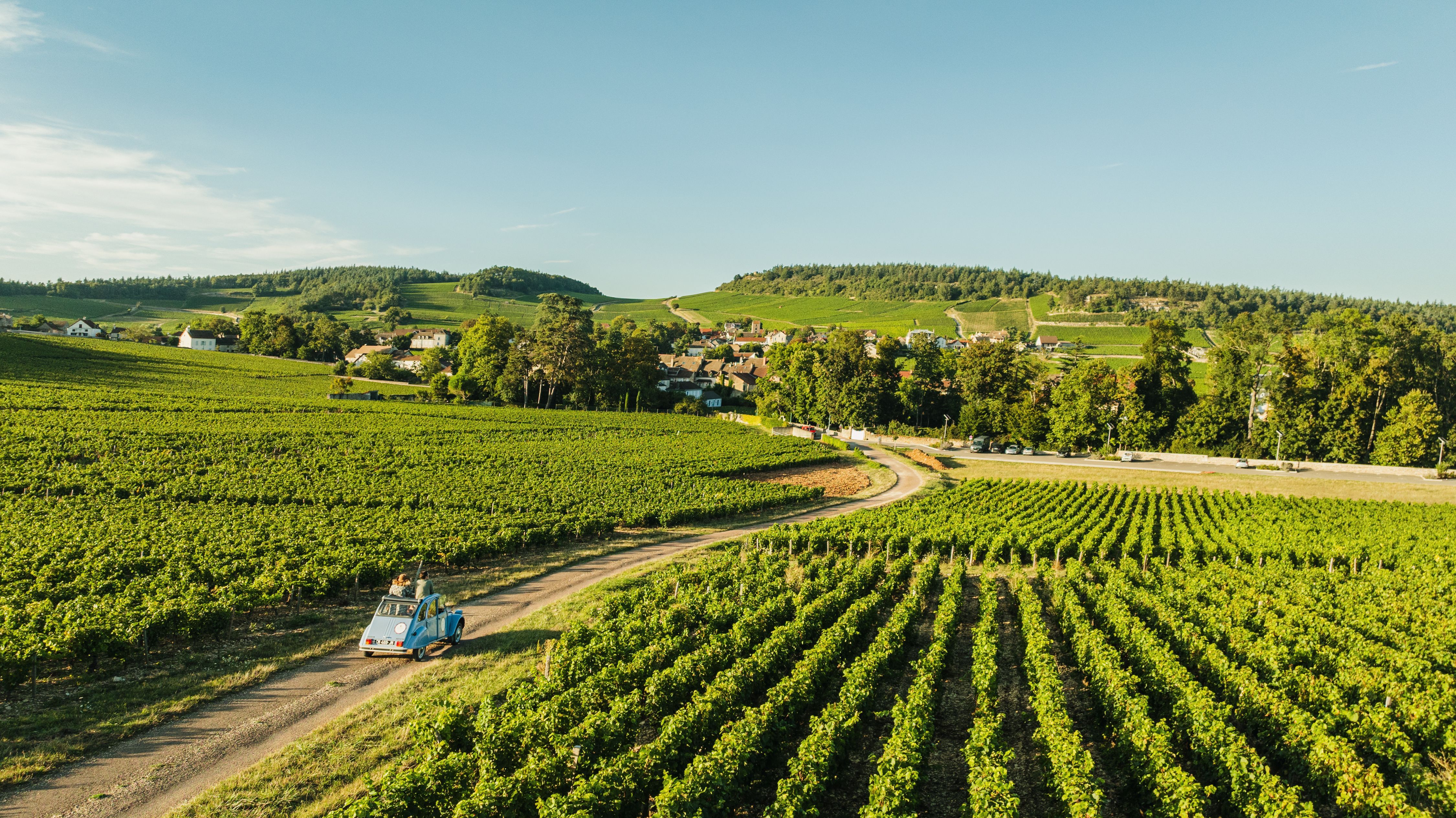 Studio Intuitive BFC Tourisme