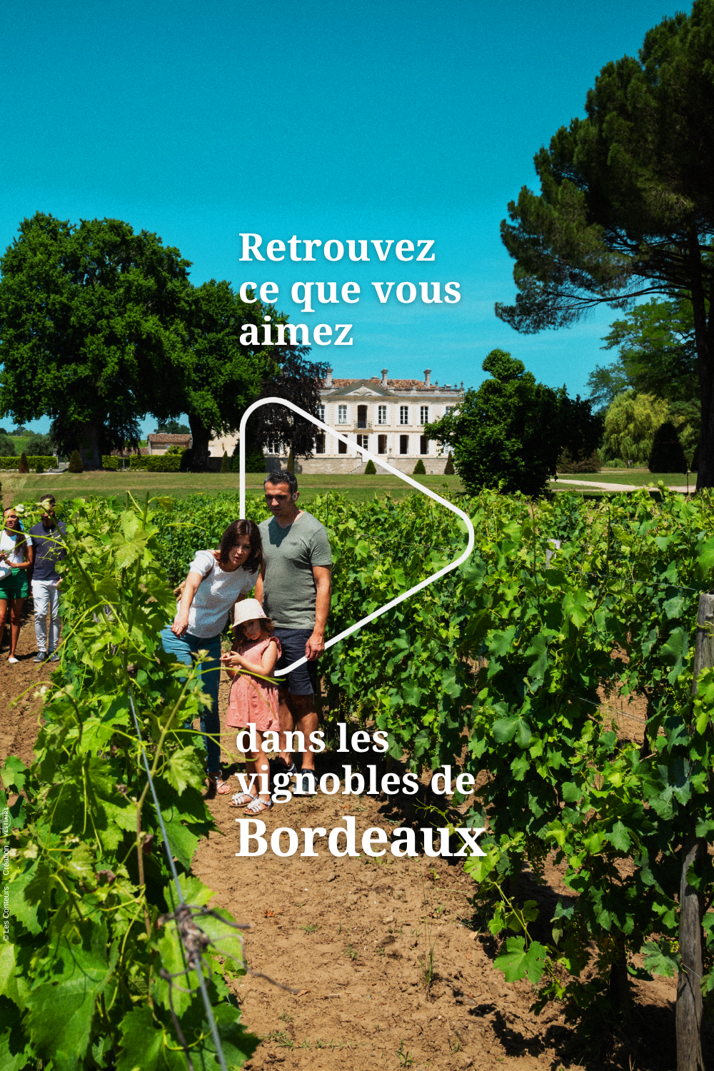 Dans les vignobles aux alentours de Bordeaux