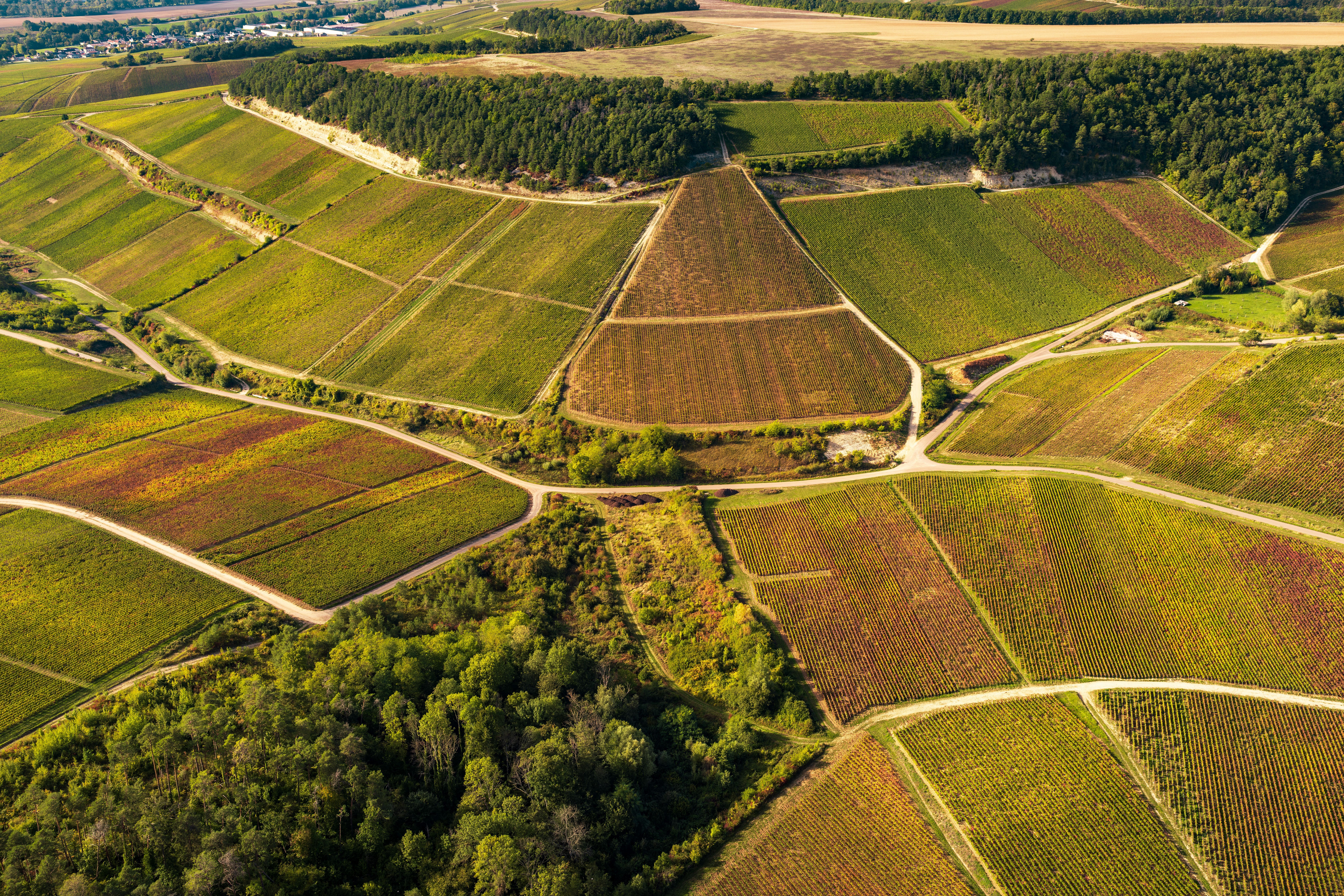 De wijngaarden in de Aube van bovenaf, een lappendeken aan kleur in de herfst.