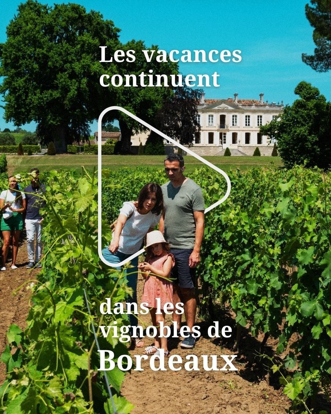 Les vignobles de la région de Bordeaux