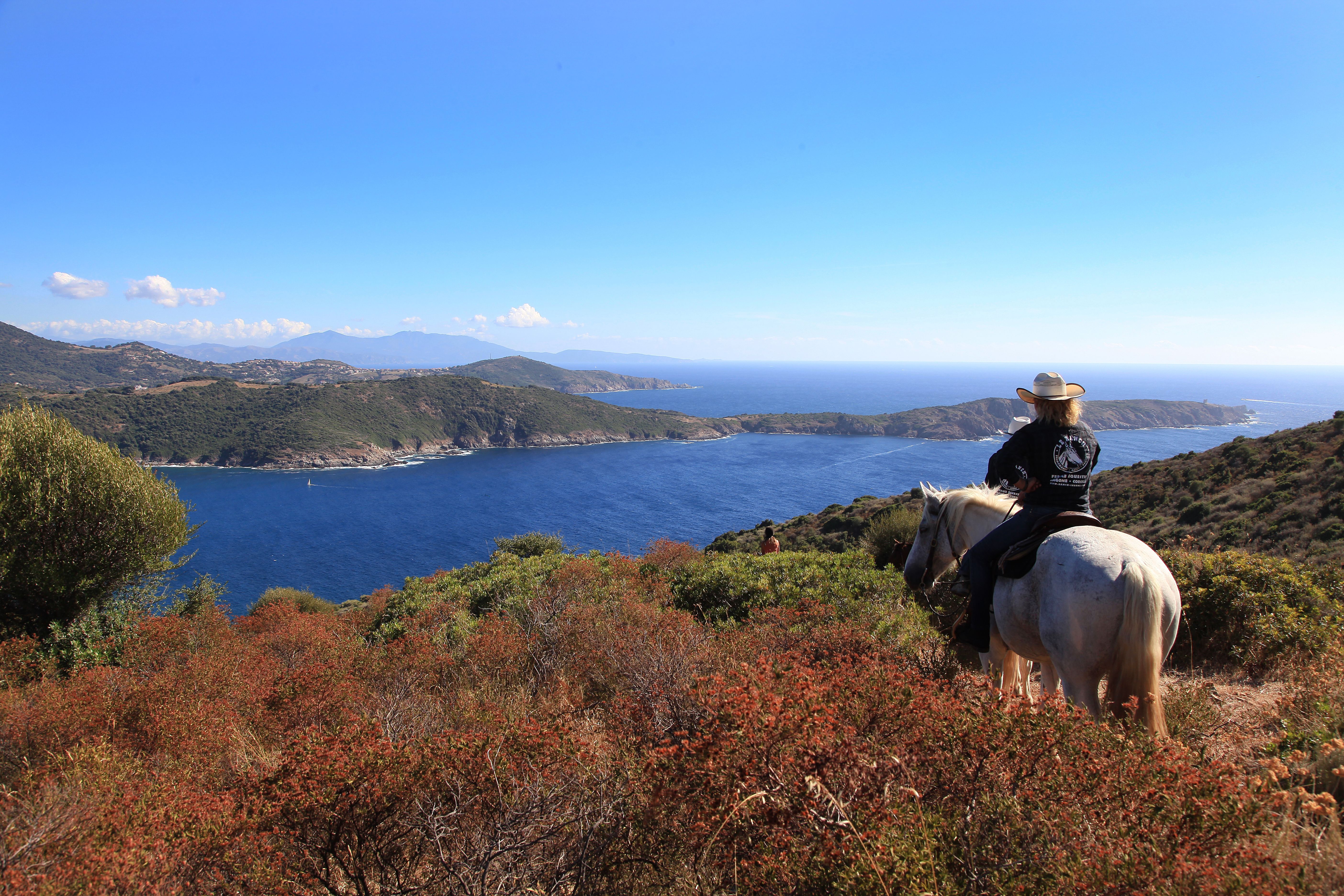 Corsica - Escursione equestre