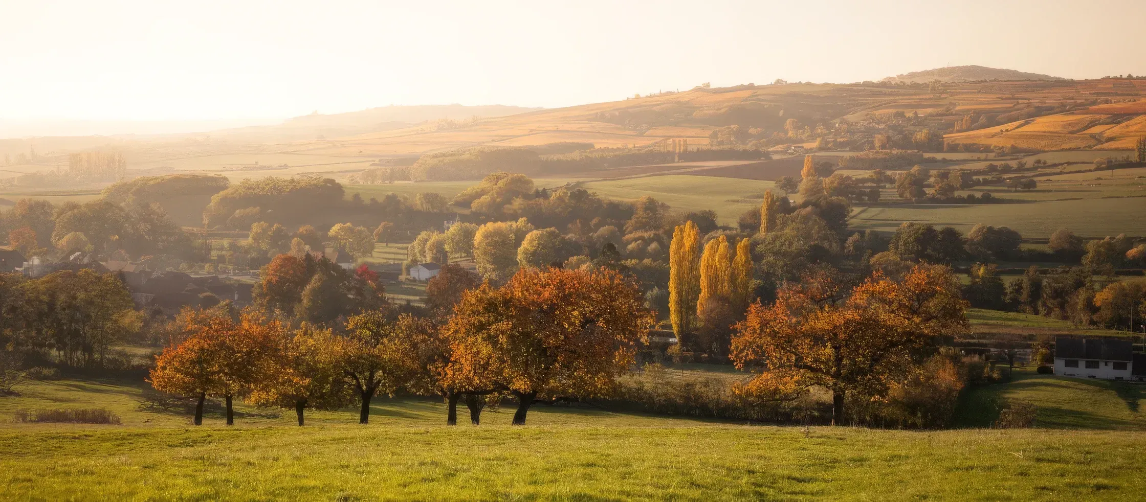 Couleurs automne en Bourgogne.