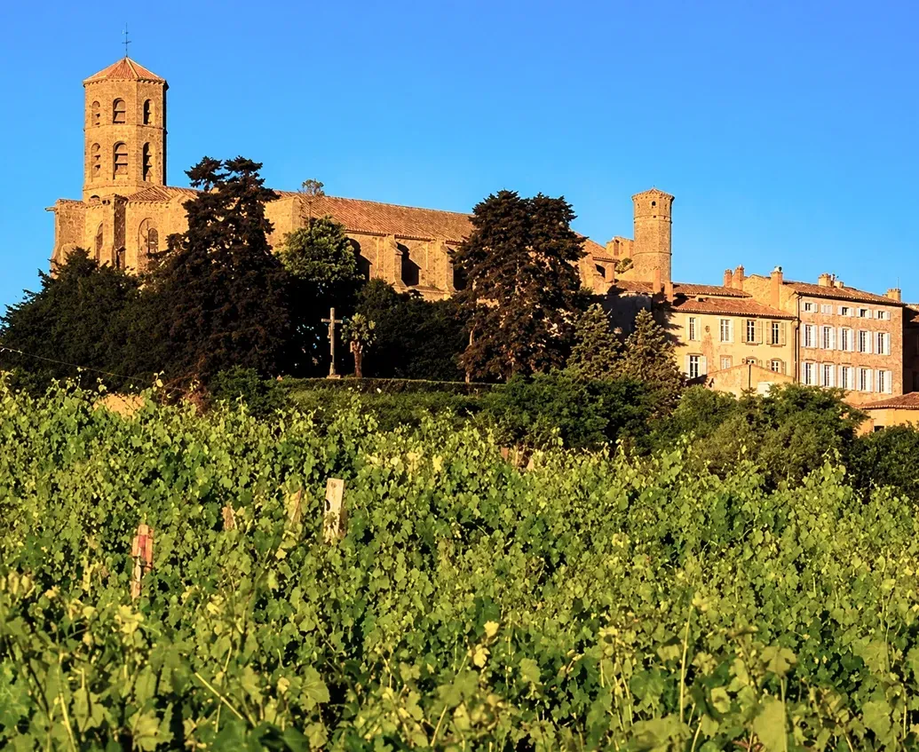 Viñedos del Gard