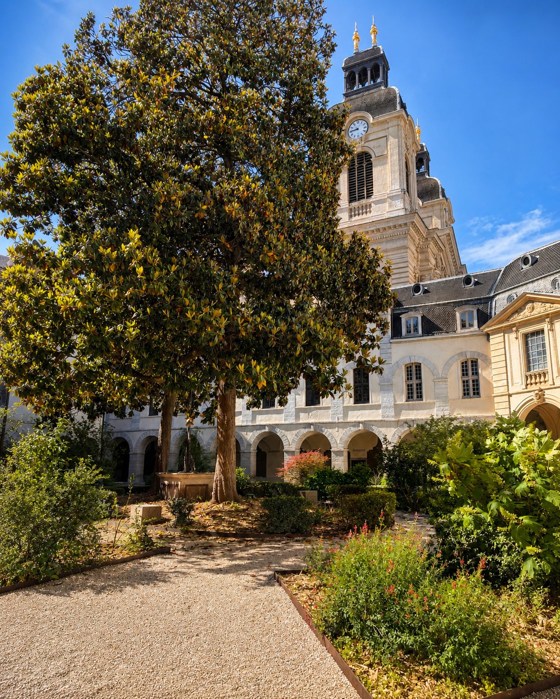 Hotel Dieu, Lyon